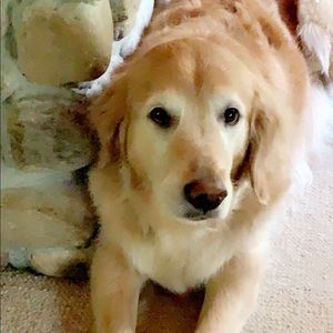 Meet your Posher, Martha